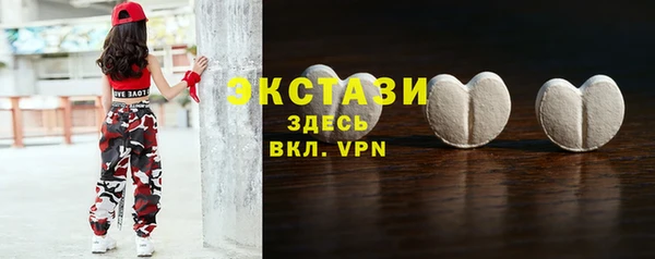 ECSTASY Бородино