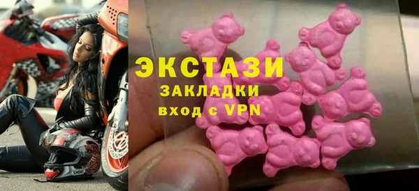ECSTASY Бородино